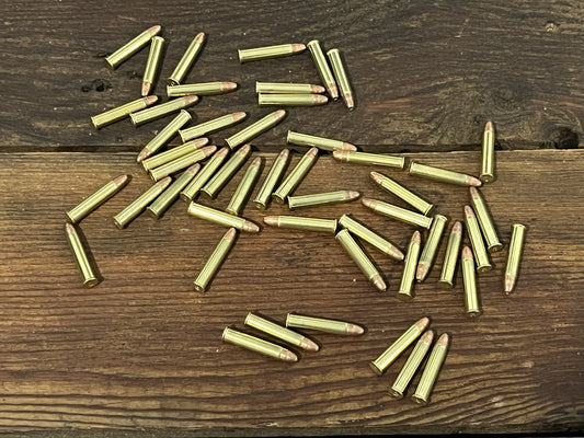 How I Chose My .22 WMR Rifle